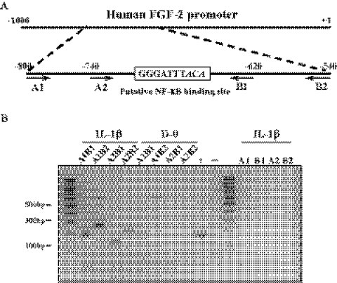 Figure 6.