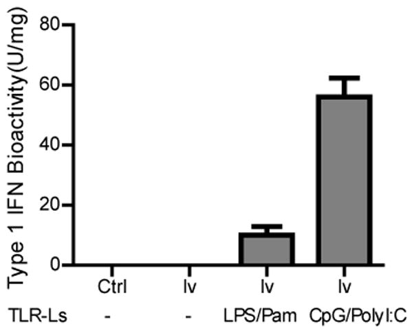 Fig. 5