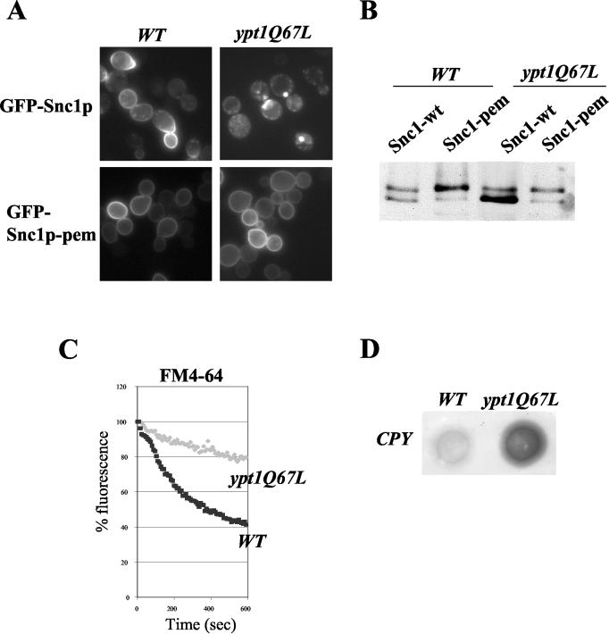 FIG. 6.