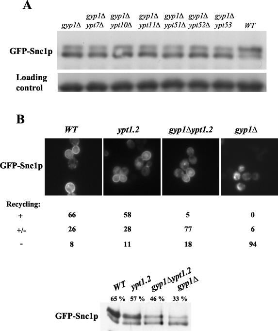 FIG. 5.