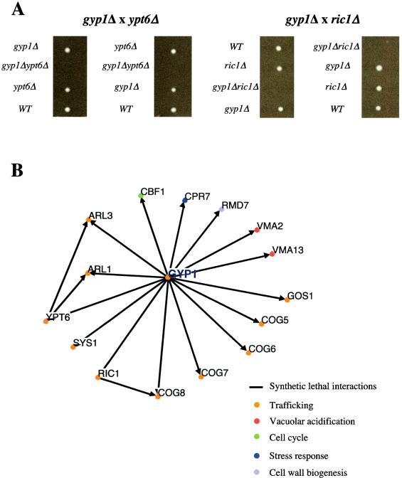 FIG. 7.