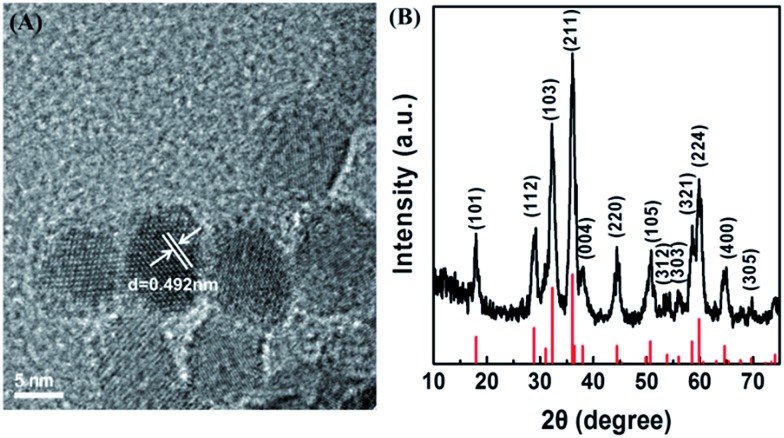 Fig. 1