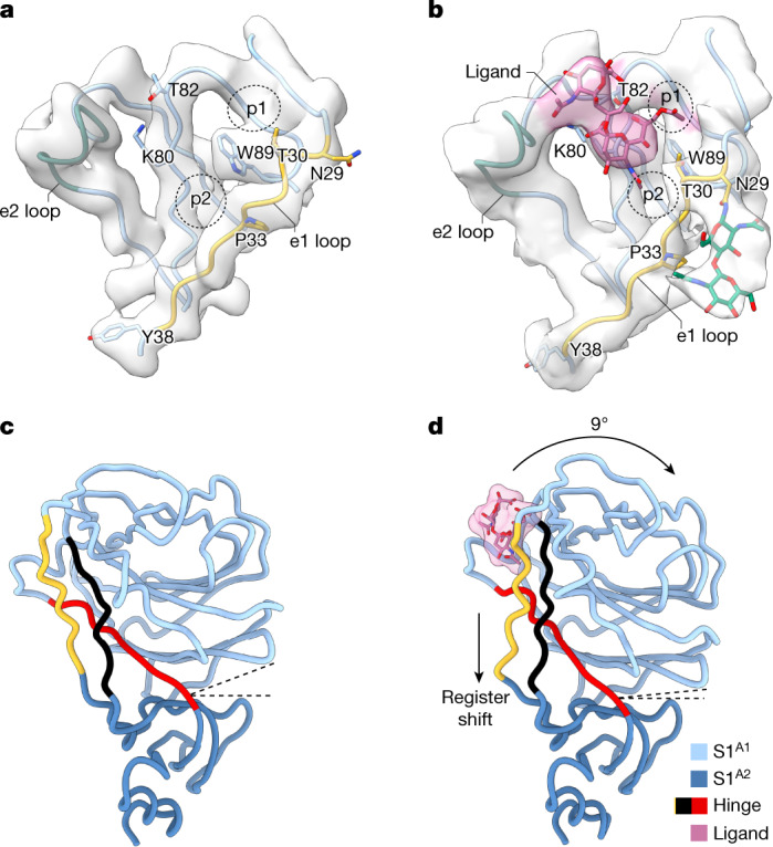 Fig. 4