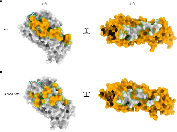 Extended Data Fig. 4