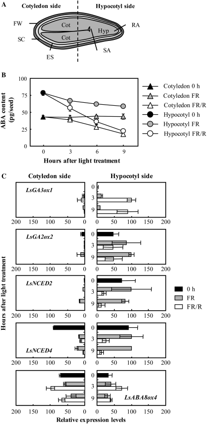 Figure 7.