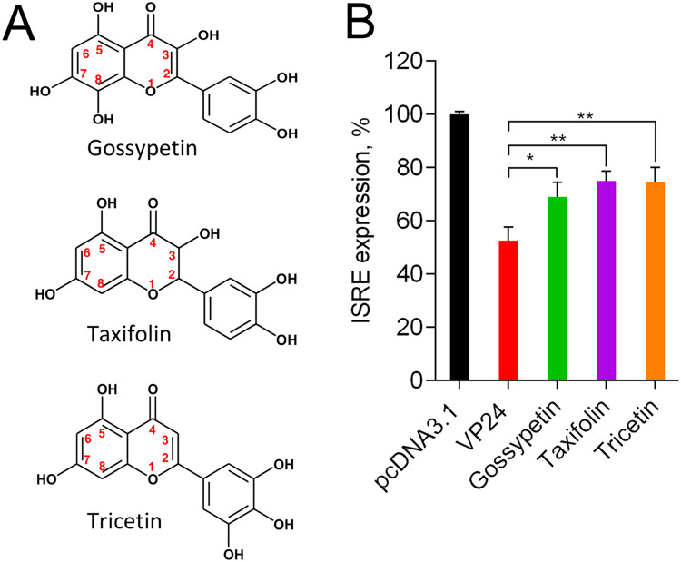 FIG 1