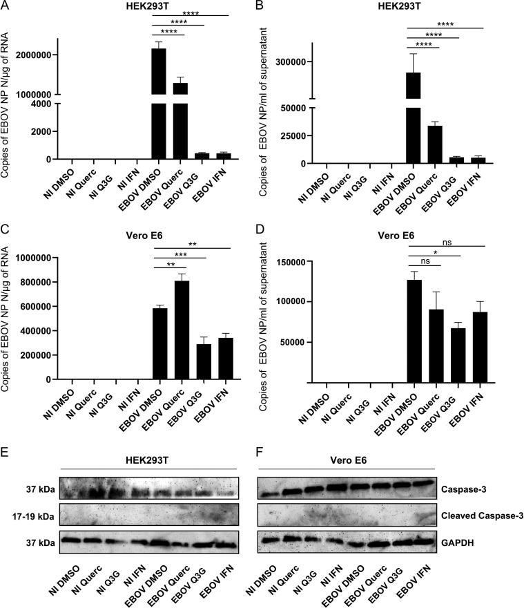 FIG 6