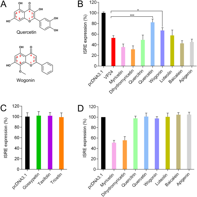 FIG 2