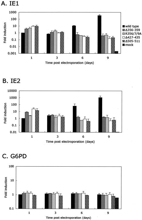 FIG. 2.