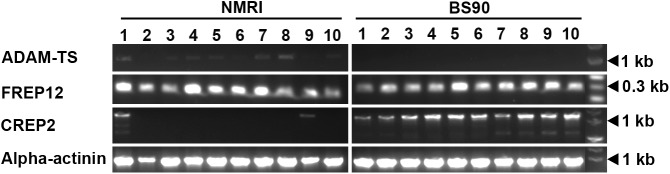 Fig 4