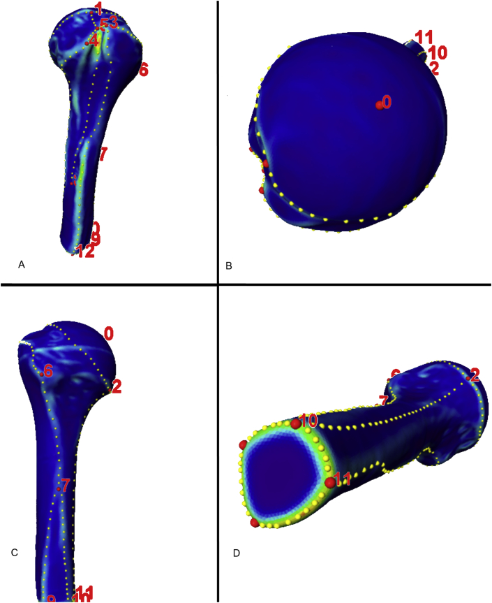 Figure 1