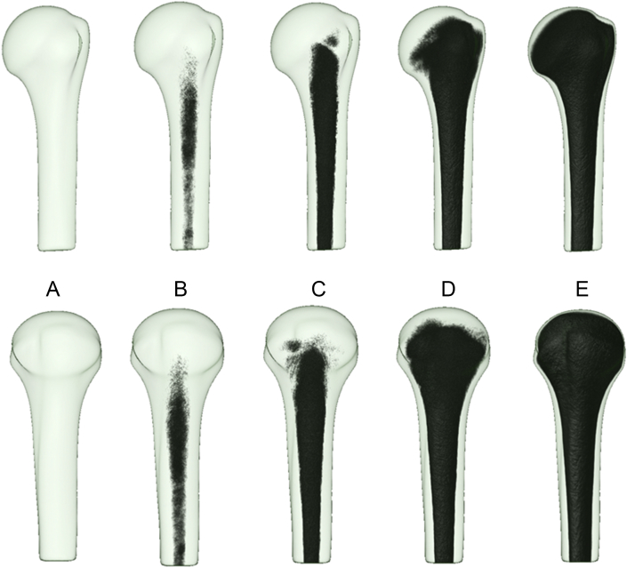 Figure 3