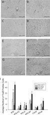 Fig. 8.