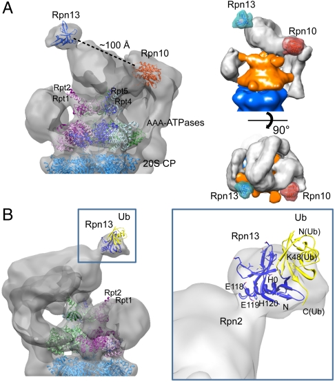 Fig. 3.