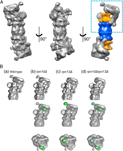 Fig. 2.