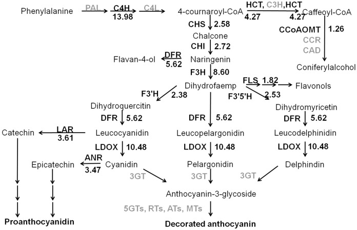 Fig 4