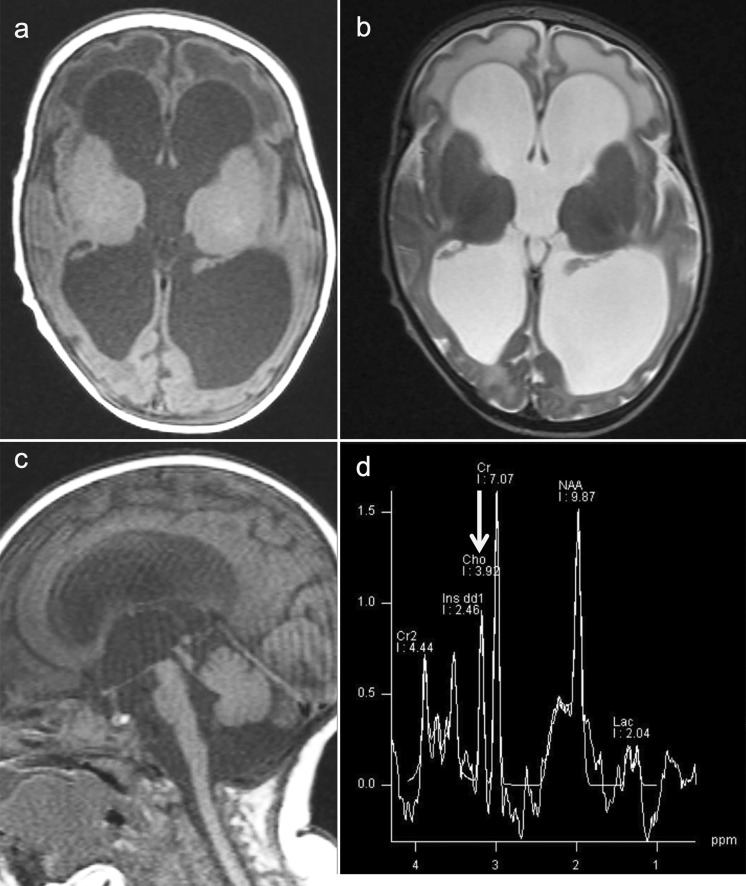 Fig. 9