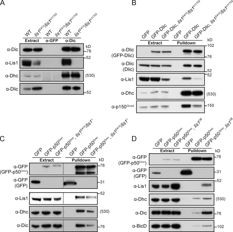 Figure 7.