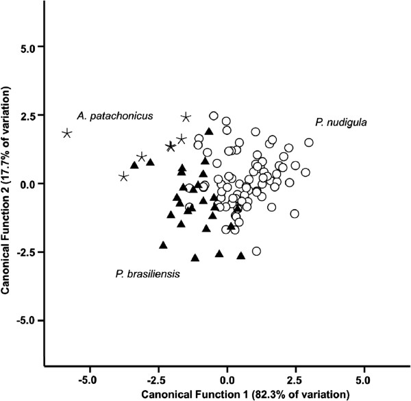 Figure 5