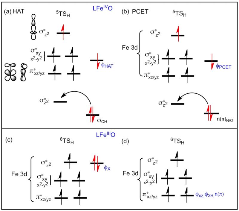 Scheme 6