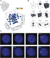 Fig. 3.