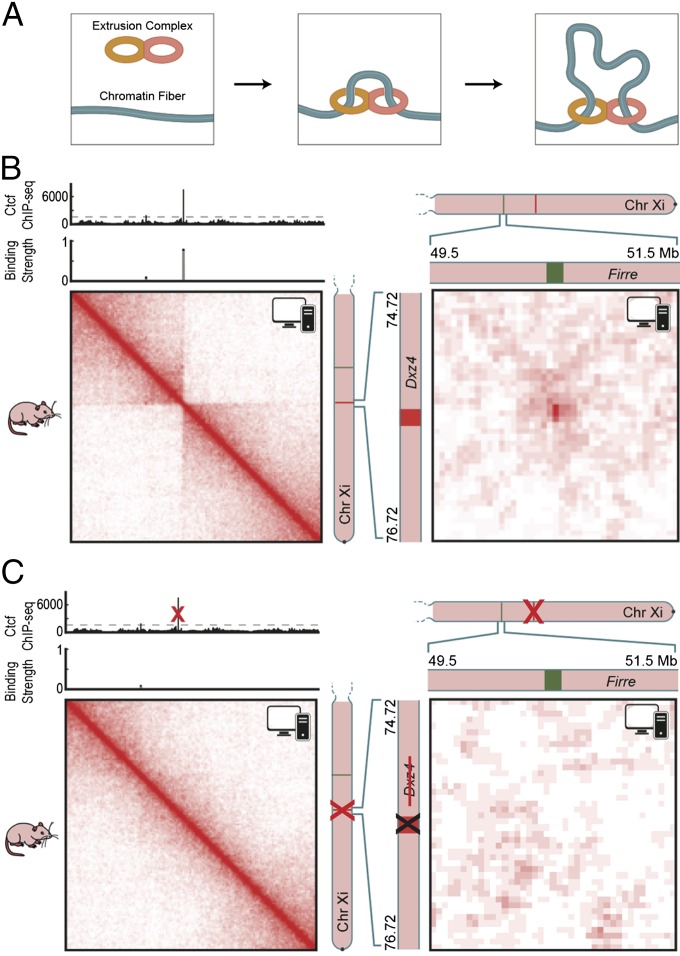 Fig. 6.