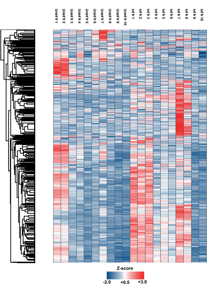 Figure 2—figure supplement 2.