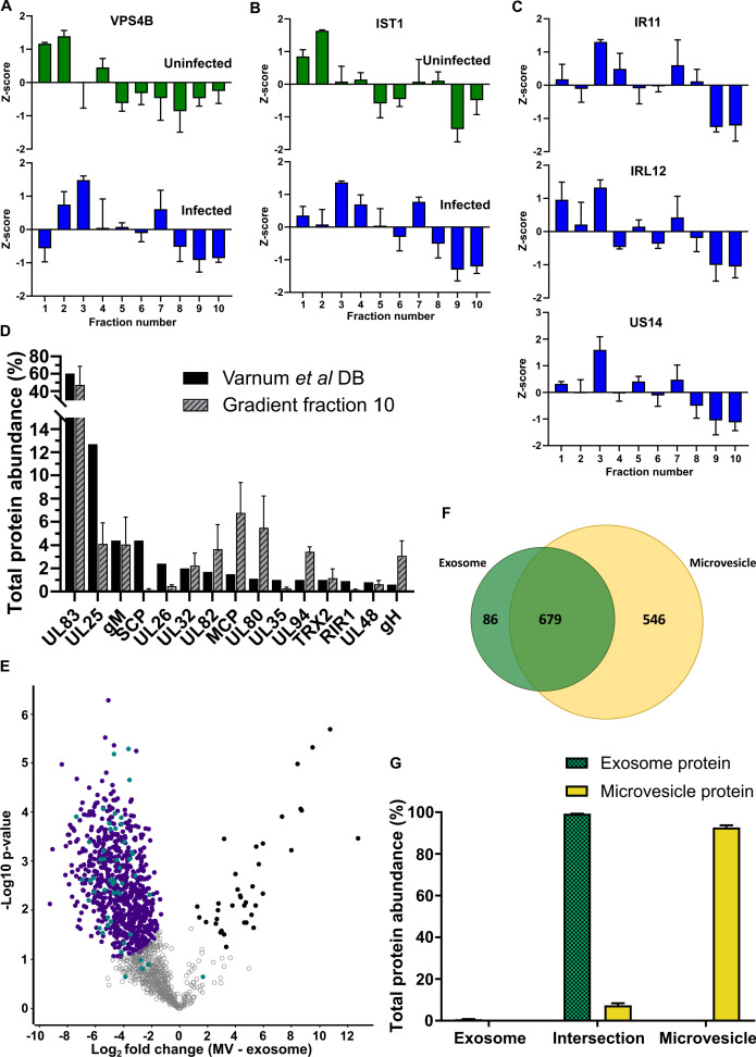 Figure 2—figure supplement 4.