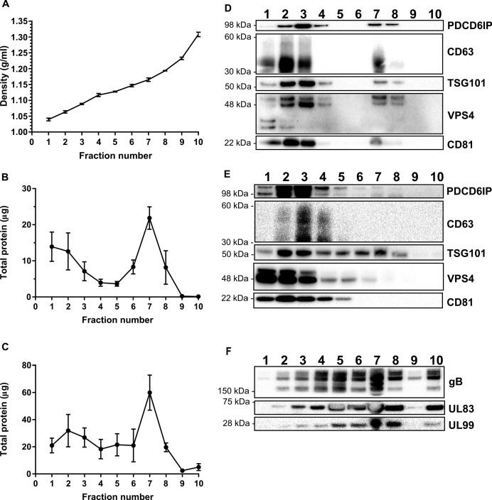 Figure 2—figure supplement 1.