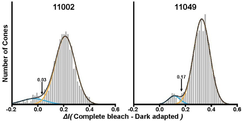 Fig. 5.