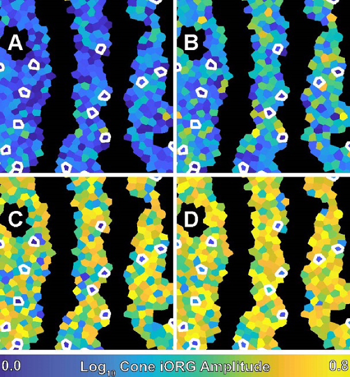 Fig. 4.