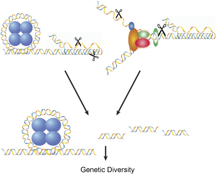 Fig 2