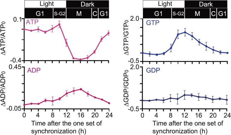 Figure 4. 