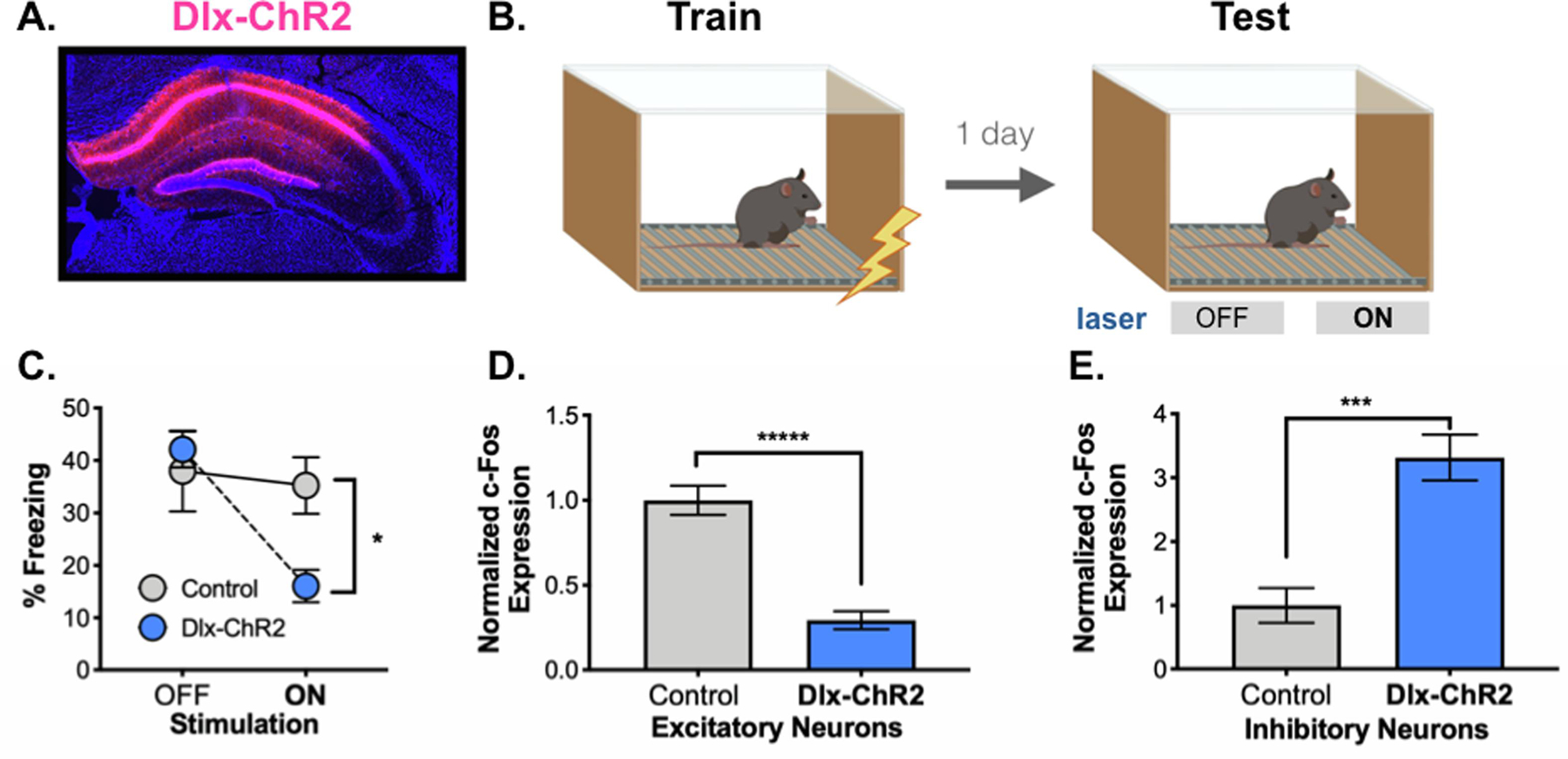 Figure 2.