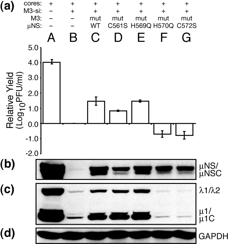 Fig. 5