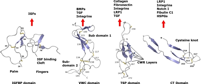 Fig. 2