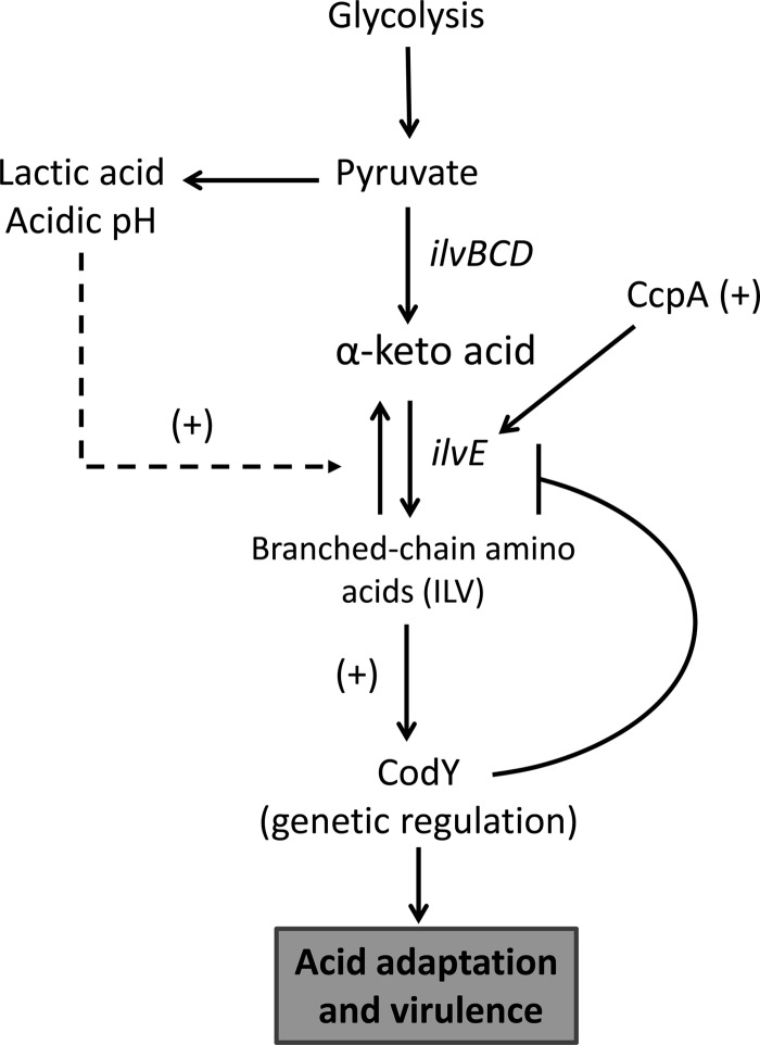 Fig 9