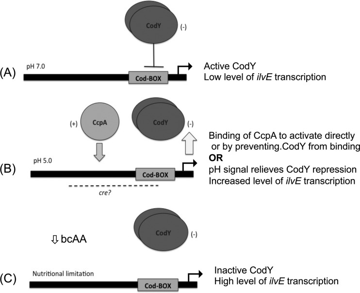 Fig 10