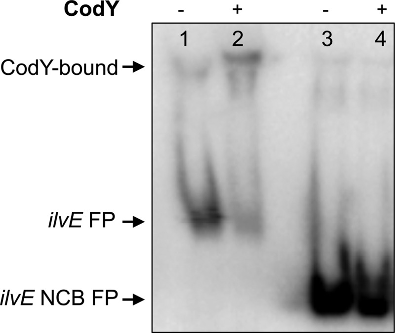 Fig 5