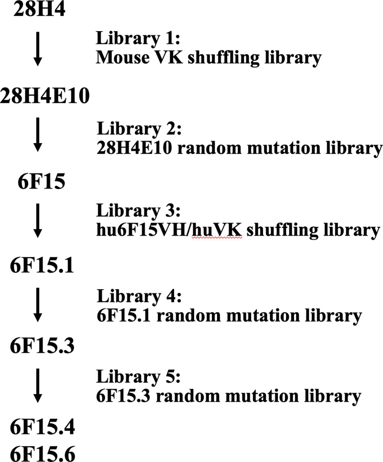 Fig 1