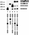 FIG. 8
