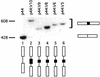 FIG. 6