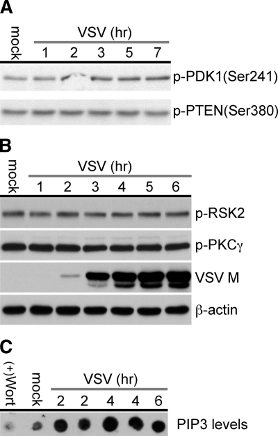 FIG. 6.