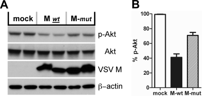 FIG. 9.