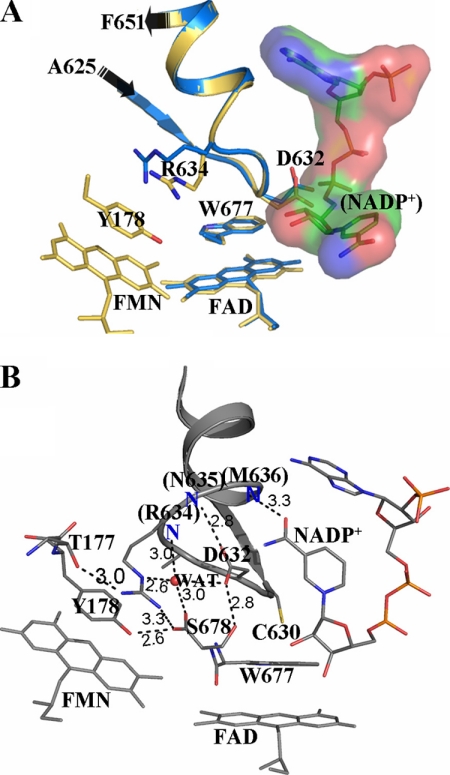 FIGURE 4.