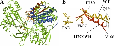 FIGURE 2.