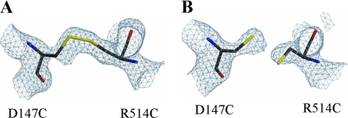 FIGURE 1.