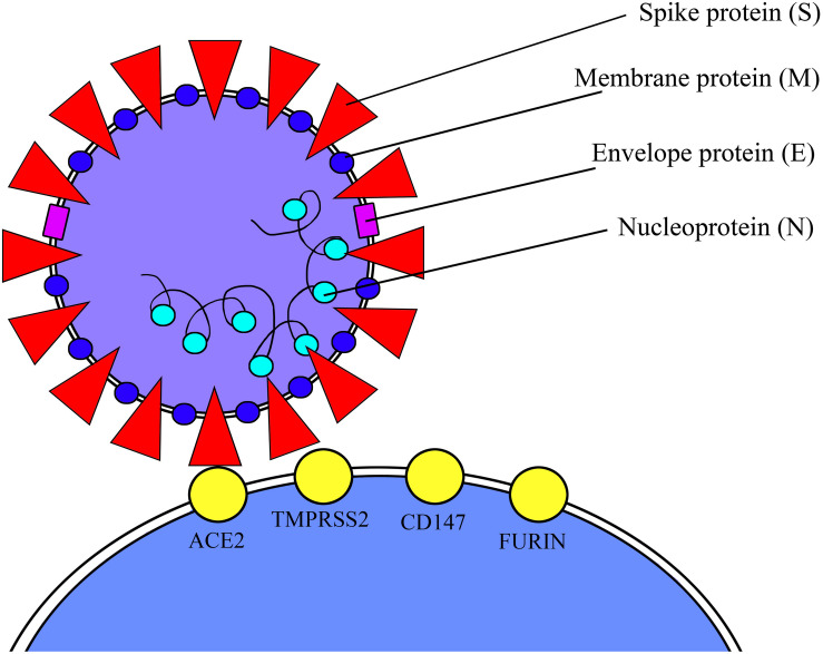 FIGURE 1