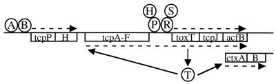 FIG. 5