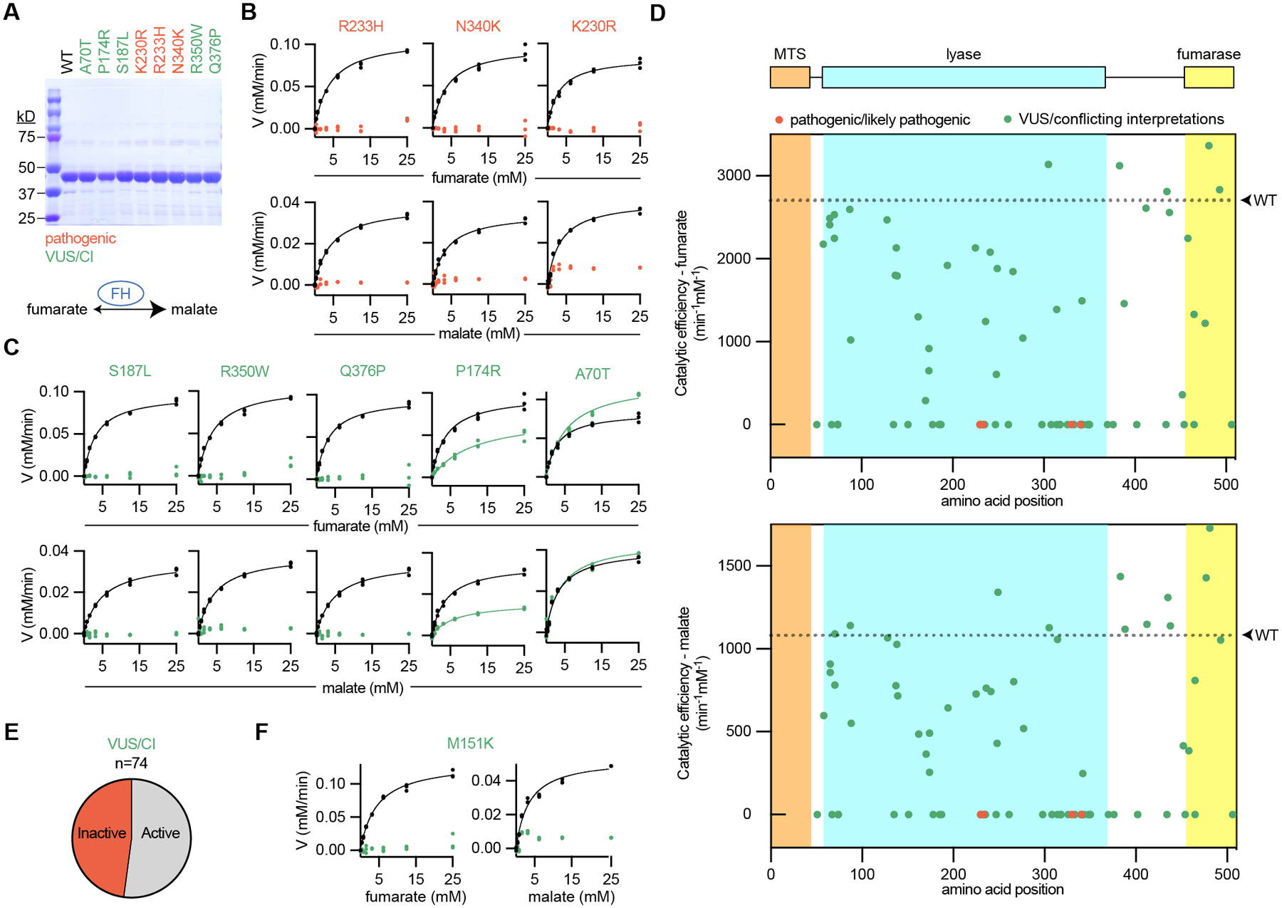 Fig. 2: